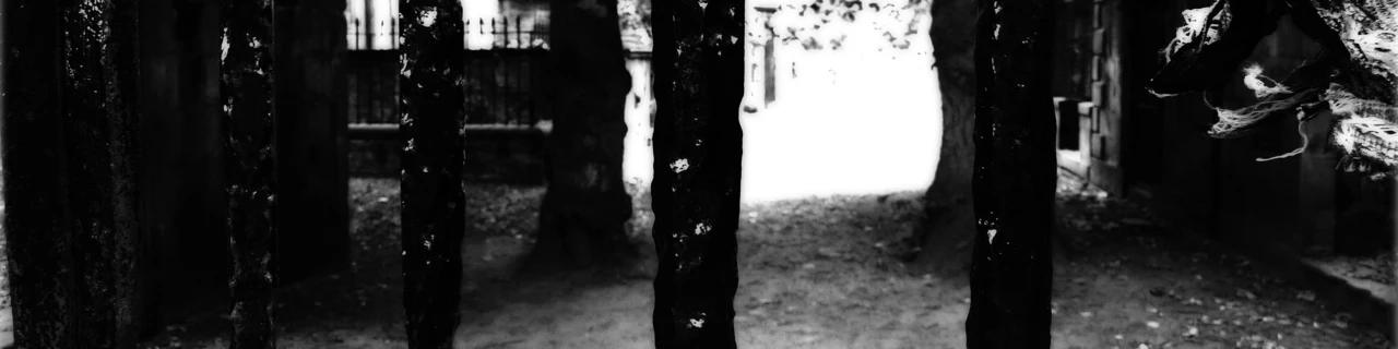 In Brooklyn fand ich diese Kassetten. Sie anzuhören, war ein Fehler. Aber ich glaube, es ist besser, wenn alle davon wissen. Deswegen habe ich die alten Kassetten transkribiert.